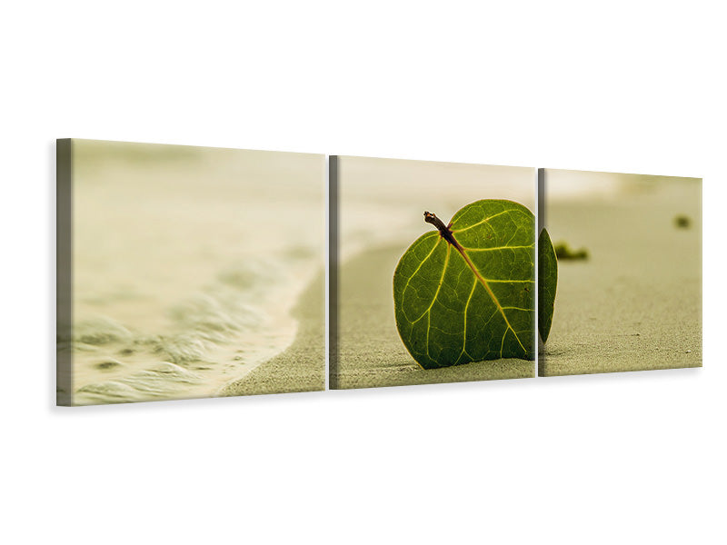 panoramic-3-piece-canvas-print-beach-leaf