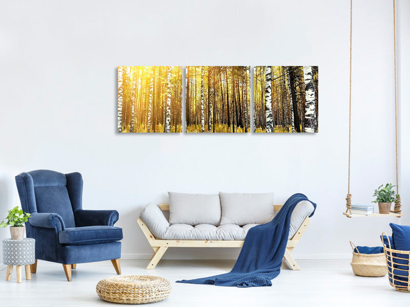 panoramic-3-piece-canvas-print-birch-forest