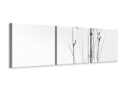 panoramic-3-piece-canvas-print-black-on-white