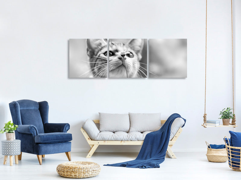 panoramic-3-piece-canvas-print-curious