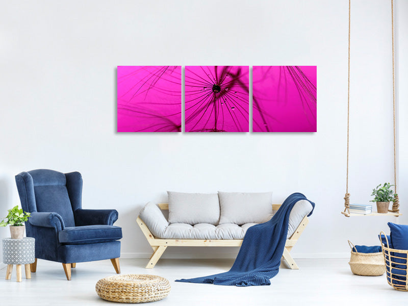 panoramic-3-piece-canvas-print-dandelion-in-pink