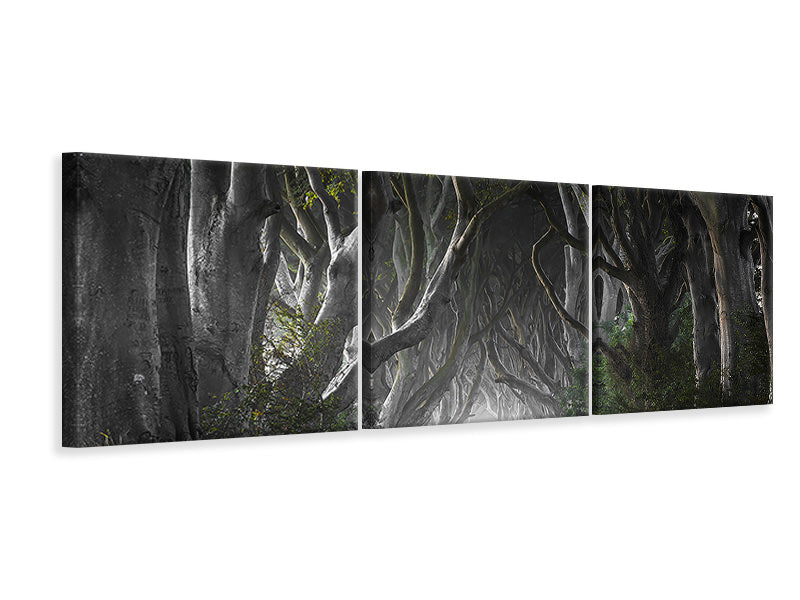 panoramic-3-piece-canvas-print-dark-hedges