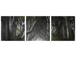 panoramic-3-piece-canvas-print-dark-hedges