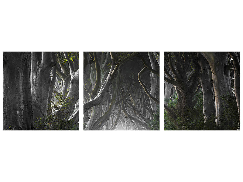 panoramic-3-piece-canvas-print-dark-hedges