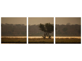 panoramic-3-piece-canvas-print-elephant-alone-in-the-steppe