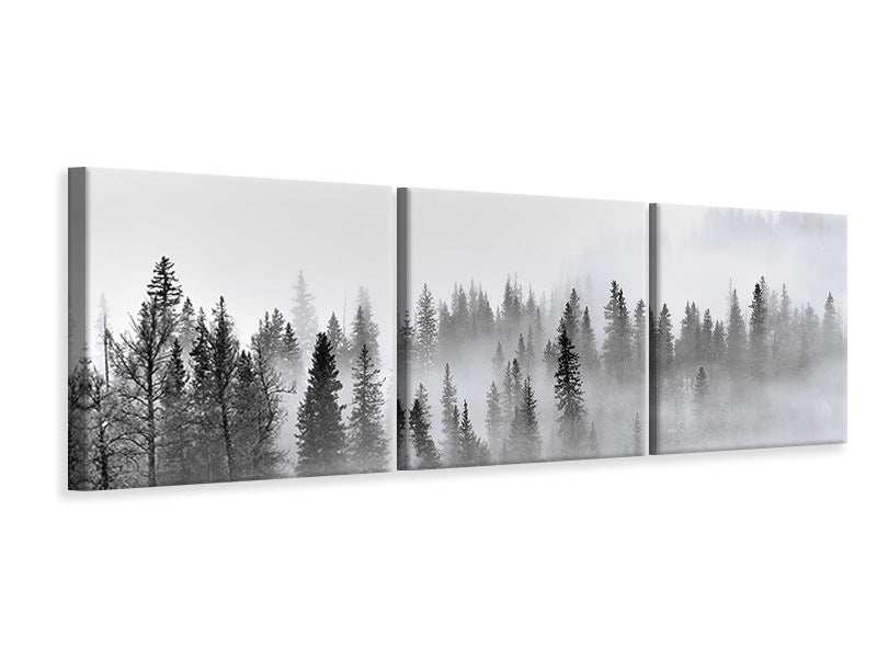 panoramic-3-piece-canvas-print-foggy-forest
