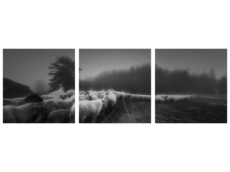 panoramic-3-piece-canvas-print-foggy-memory-of-the-past-ii