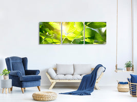 panoramic-3-piece-canvas-print-go-green