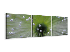 panoramic-3-piece-canvas-print-green-and-white-ii
