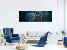 panoramic-3-piece-canvas-print-hawksbill-sea-turtle-ii