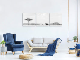 panoramic-3-piece-canvas-print-high-key-savannah