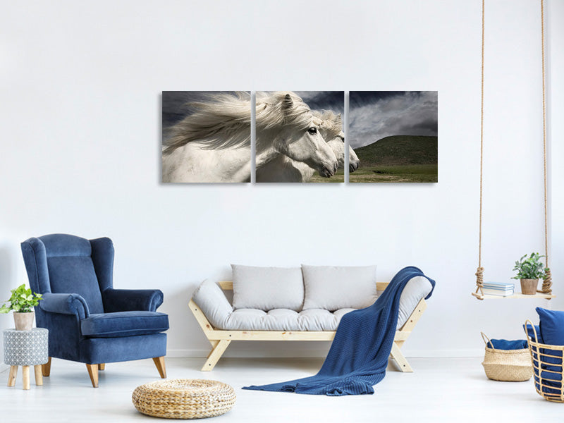 panoramic-3-piece-canvas-print-interplay