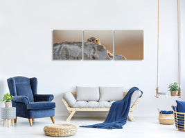 panoramic-3-piece-canvas-print-little-owl