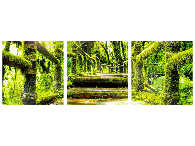 panoramic-3-piece-canvas-print-moss