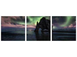 panoramic-3-piece-canvas-print-rhino-iii