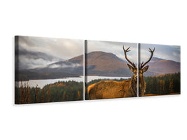 panoramic-3-piece-canvas-print-scottish-stag