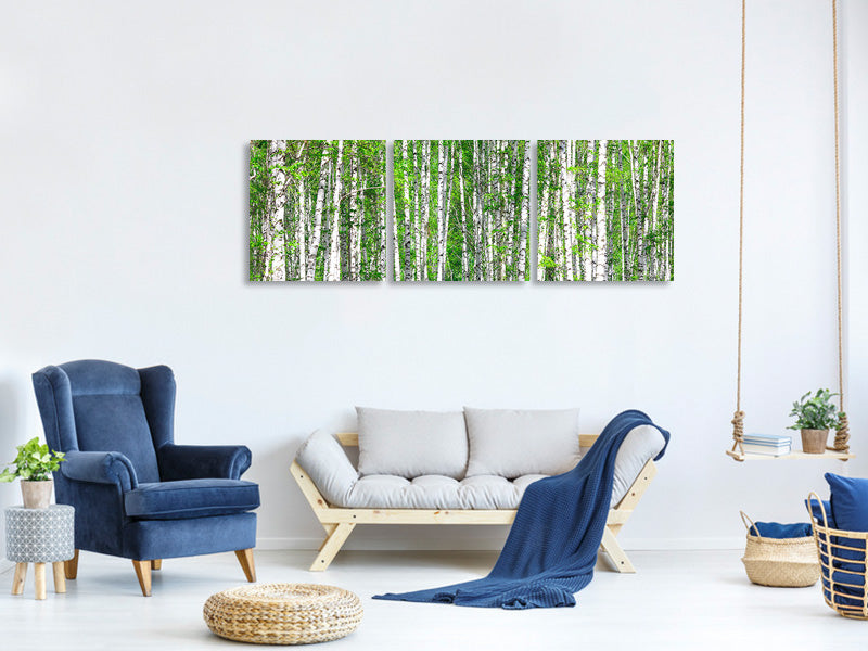 panoramic-3-piece-canvas-print-the-birch-forest