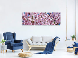 panoramic-3-piece-canvas-print-the-japanese-cherry