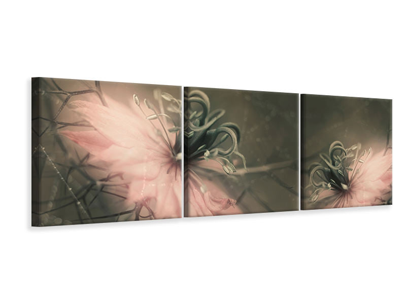 panoramic-3-piece-canvas-print-the-virgins