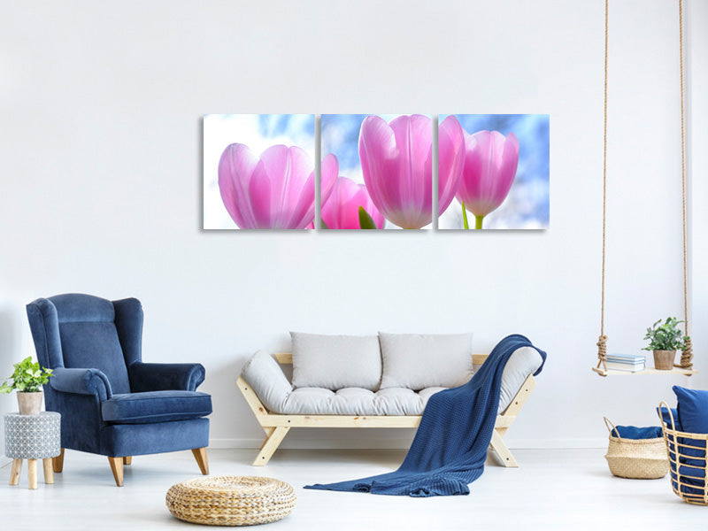 panoramic-3-piece-canvas-print-tulips-in-nature