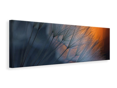 panoramic-canvas-print-feathers-p
