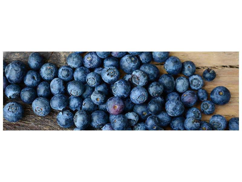 panoramic-canvas-print-fresh-blueberries