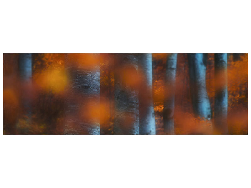 panoramic-canvas-print-hidden-forest