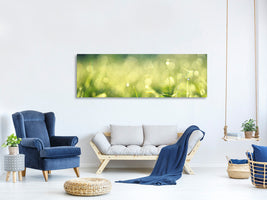 panoramic-canvas-print-in-the-meadow