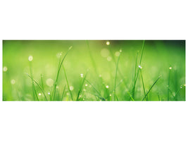 panoramic-canvas-print-meadow-with-morning-dew